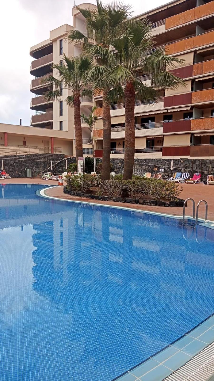 Vistas De Los Gigantes Apartamento 2 Dormitorios Puerto de Santiago  Zewnętrze zdjęcie